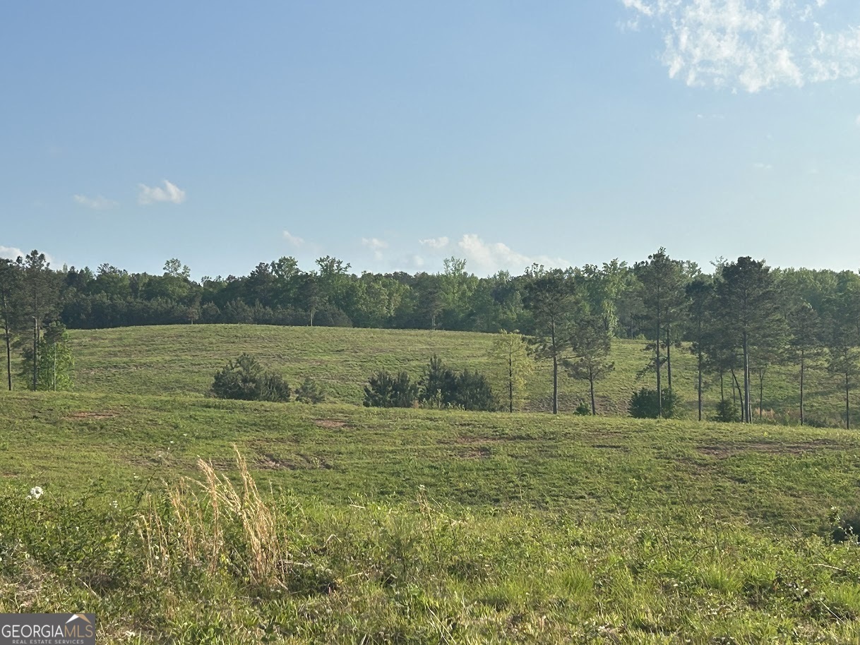 Your Dream Property Awaits: 345 Acres in South Carroll County! This stunning property offers a harmonious blend of landscapes and endless potential, making it the perfect canvas for your dream farm, family compound, or private retreat. The land has approximately 125 acres of open, rolling meadows scattered with picturesque trees ideal for farming, grazing, or simply enjoying the vast serenity. The undeveloped areas include hardwood ridges and a mature pine forest with harvestable timber, blending nature's beauty with practical value. A large flowing creek with waterfalls and smaller streams winds through the property. There are incredible vistas stretching as far as the eye can see. The land is nestled in South Carroll County just minutes away from shopping, dining, and modern conveniences. There are two small residences on the property that are income-producing rental properties. Properties like this don't come along often. Don't miss out on this opportunity