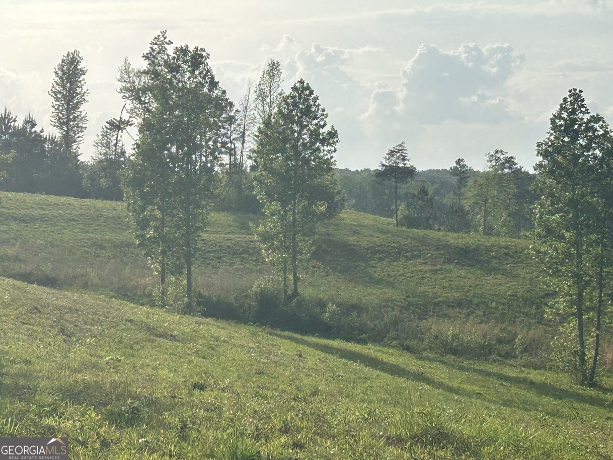 0 Needmore Road - (345.37 acres)
