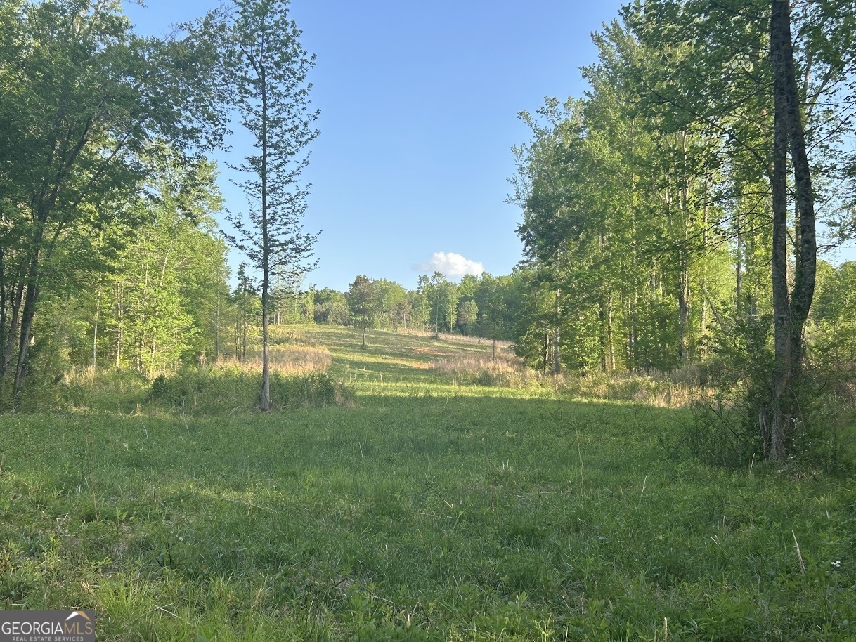 0 Needmore Road - (345.37 acres)