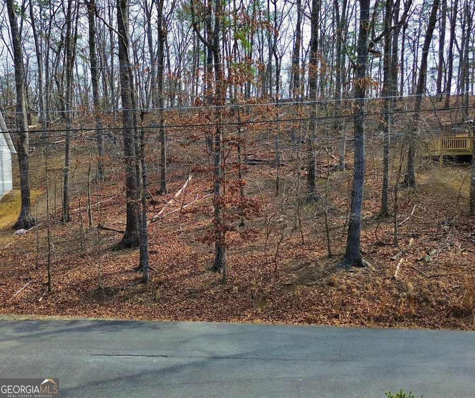 242 LAKEVIEW CIR