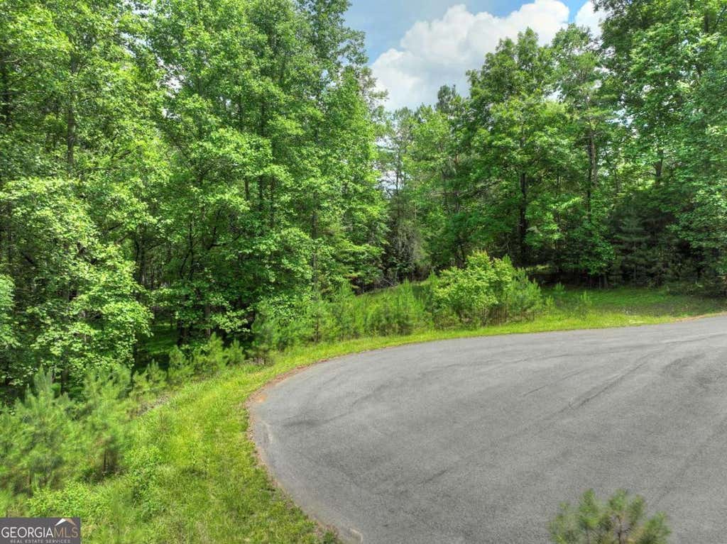 Photo of 132 Fox Cove Road #132, Blairsville, GA 30512 (MLS # 10794419)