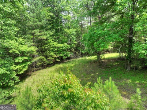 Photo of 132 Fox Cove Road #132, Blairsville, GA 30512 (MLS # 10794419)