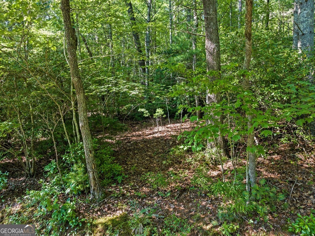 2 AC Ritchie Creek RD