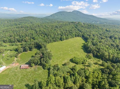 Agriculture in Cleveland GA 0 Highland Forest Road 4.jpg