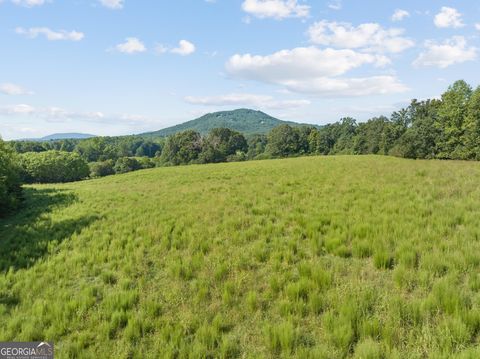 Agriculture in Cleveland GA 0 Highland Forest Road 6.jpg