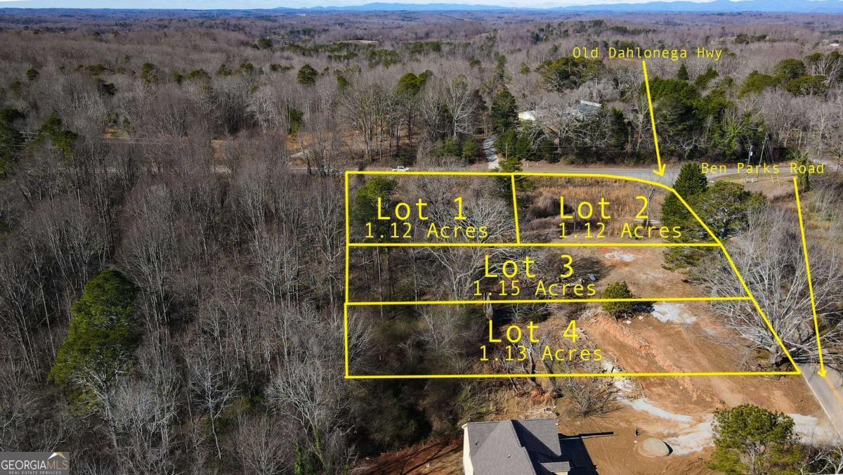 Photo 1 of 2 — 6010 Ben PARKS, Murrayville, GA 30564