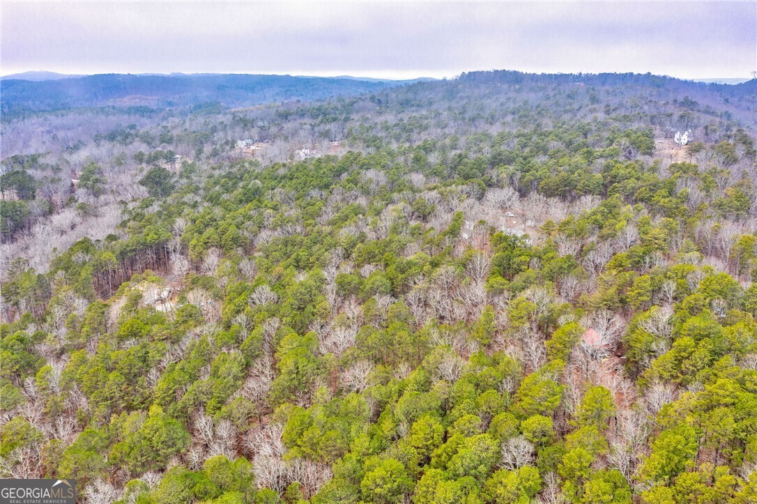 5 ACRES - Land