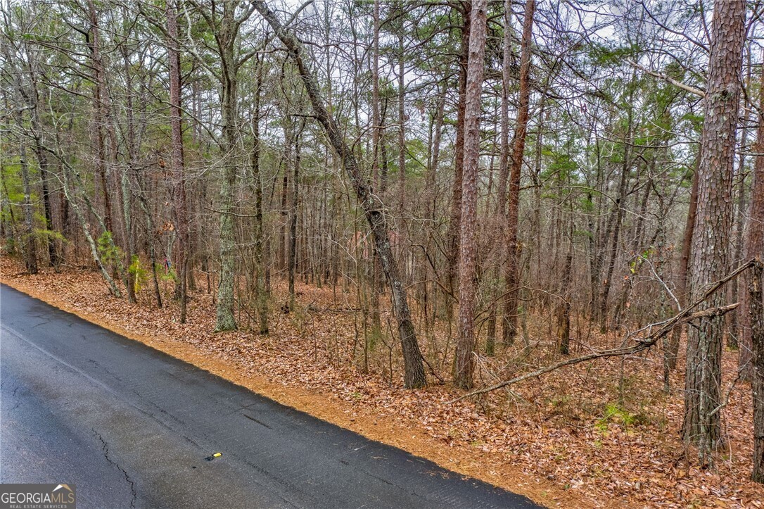 5 ACRES - Land