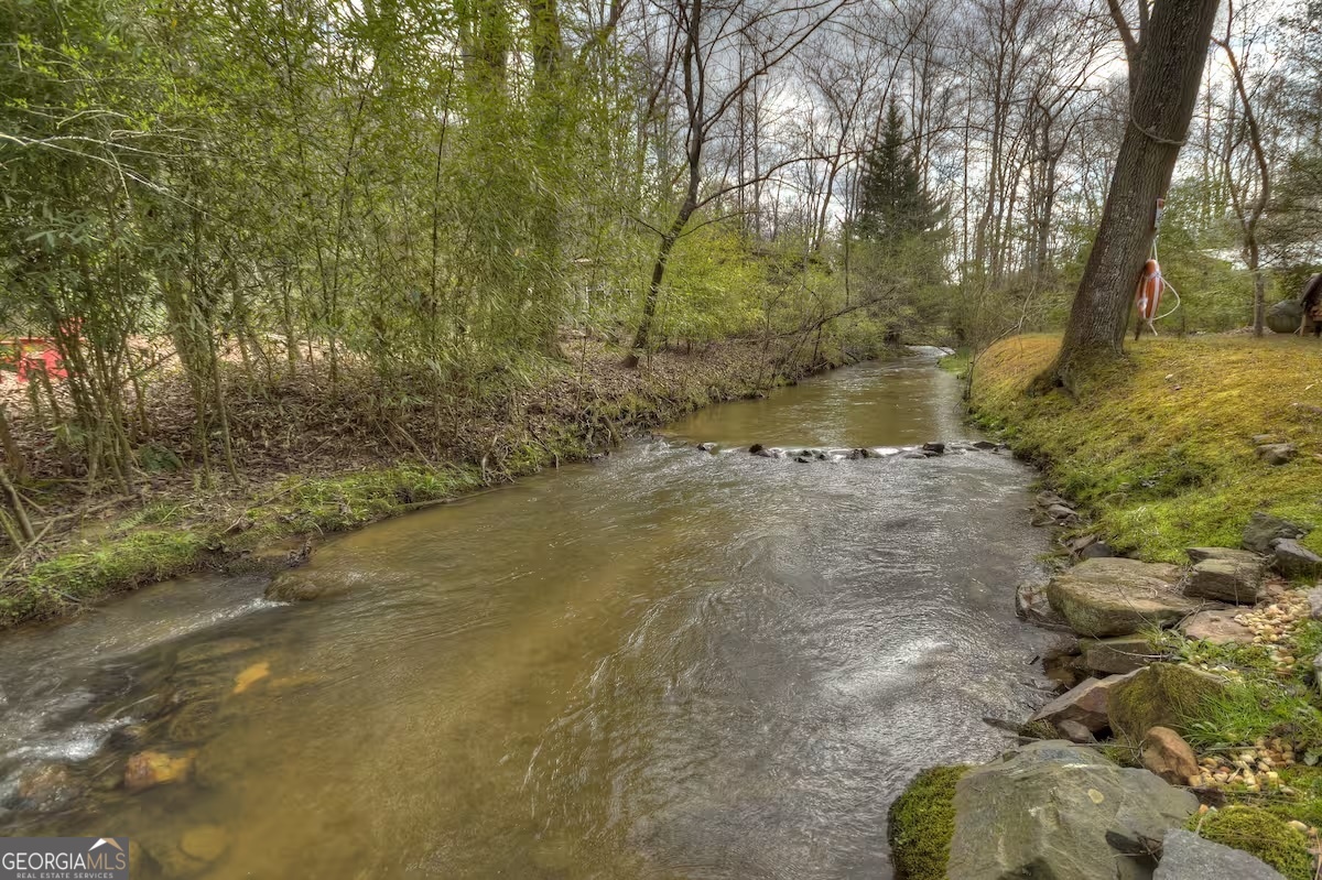 323 Tanglewood Cove Lane