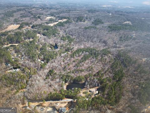 Photo of 665 Tibbitts Road, Dallas, GA 30132 (MLS # 10690004)