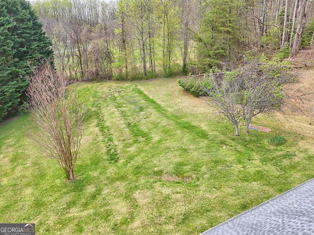 listing image 77
