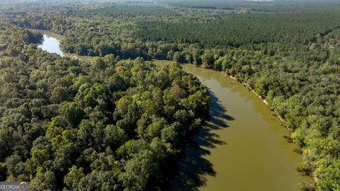 Photo of 0 Abbeville Highway, Rhine, GA 31077 (MLS # 10670195)