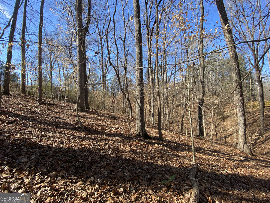 LOT 29 Knottywood DR
