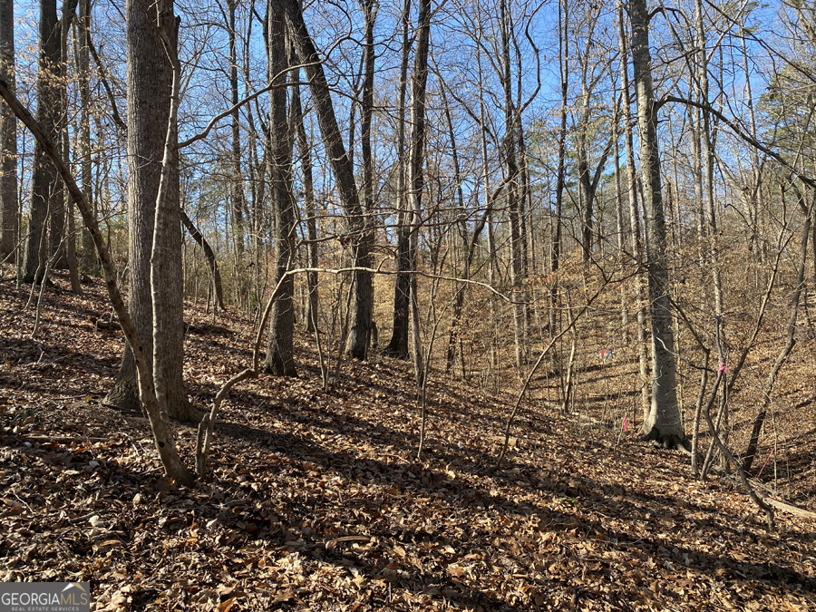LOT 29 Knottywood DR
