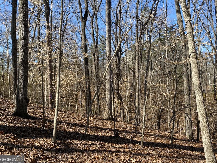 LOT 29 Knottywood DR