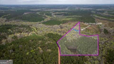 Photo of 0 Wadley Street, Greenville, GA 30222 (MLS # 10822760)