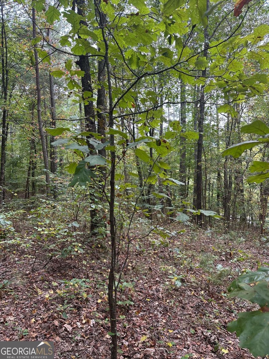 Rare affordable lot in Salacoa valley. 3 lots available. All 3 lots will have a view in winter of beautiful Salacoa creek. Nice level building areas for each lot that could accommodate a slab or basement. Large mature woods surrounding for complete privacy. County water is available. All soil work completed and ready to build. No restrictions. Blank slate create what you want. Bring your builder or if you need one we can provide. New high school opening in 2026. Get there quick! These lots won't last.