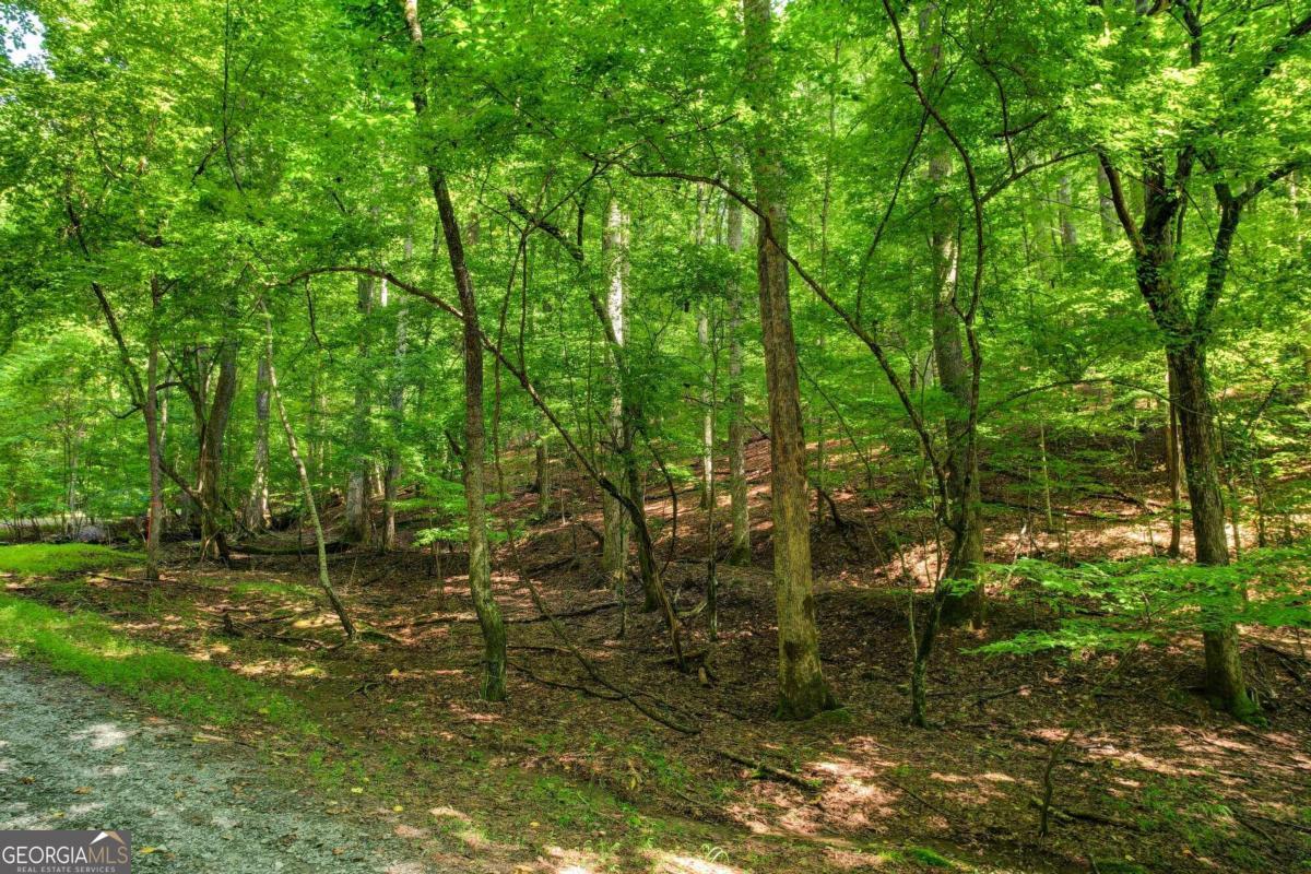BE THE FIRST TO BUILD ON NANCY CT! This gently sloping wooded lot is on a private cul-de-sac in popular Coosawattee River Resort with easy access from Newport Rd. As you drive to your soon-to-be-built home you'll encounter nature at its bestplenty of deer and beautiful views of Coosawattee River. The Resort has many amenities including several pools and parks, recreation and conference centers, and too many community events to list! This is the perfect lot for your vacation or investment home. Coosawattee is a gated community - buyers must be with an agent.