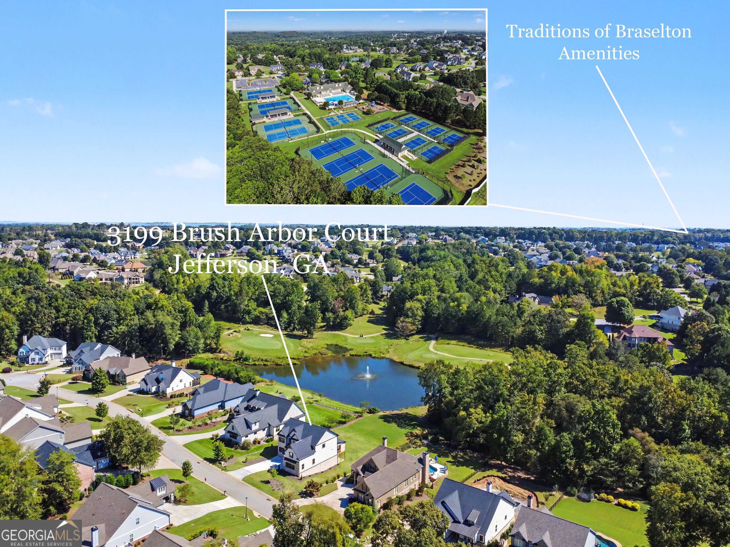 3199 Brush Arbor CT