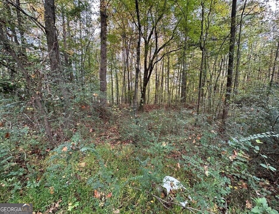 0 Villa Rica HWY
