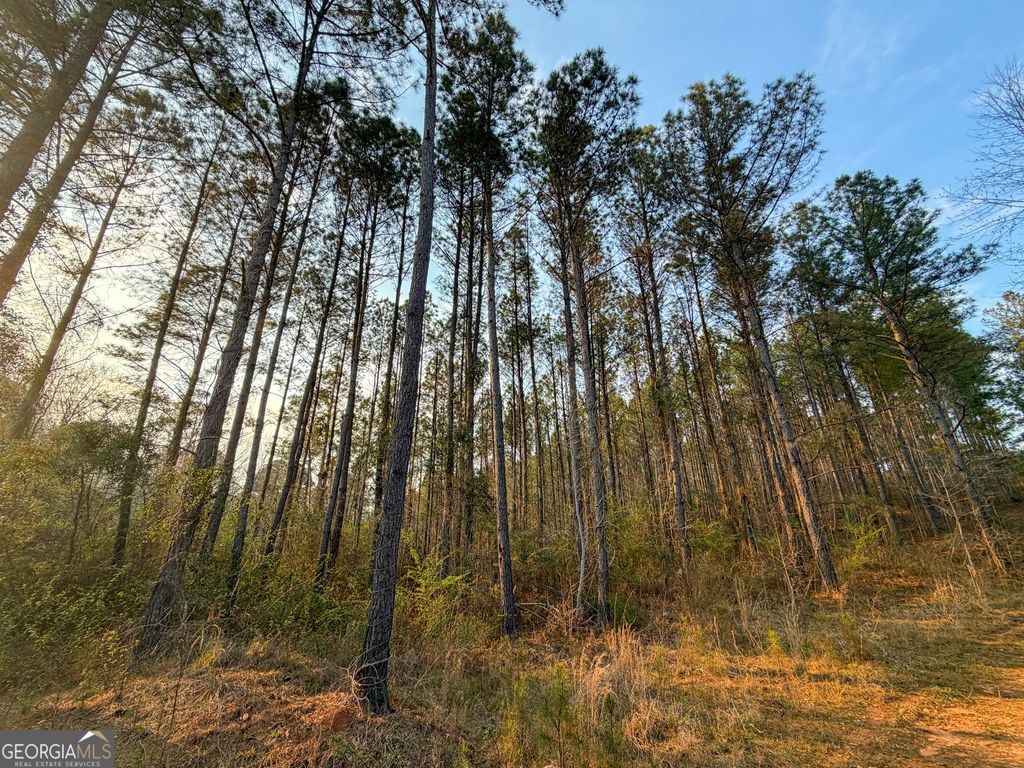 Photo of 105 +/- Acres on McCosh Mill Rd., LaGrange, GA 30240 (MLS # 10773972)