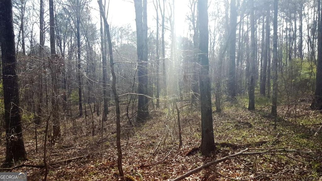 Photo of 0 Stagecoach Road #20.17 ACRES, Stockbridge, GA 30281 (MLS # 10715504)