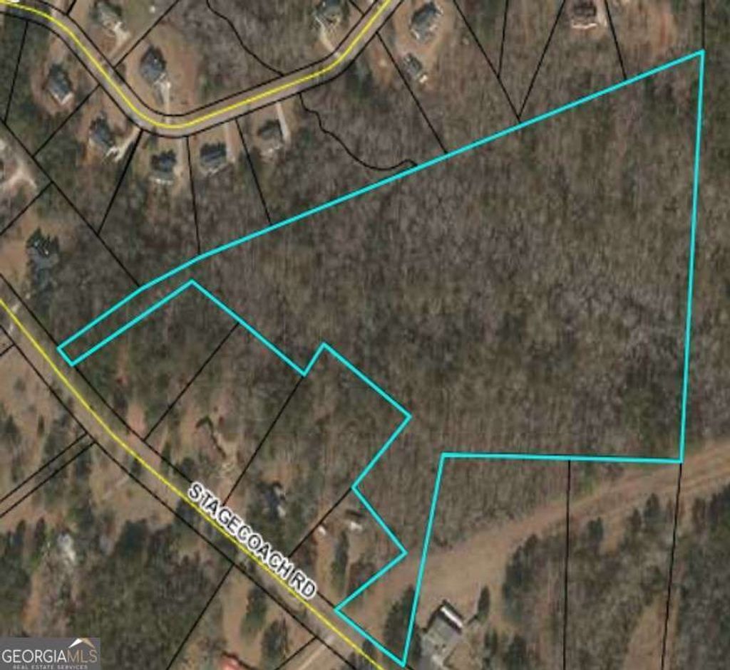Photo of 0 Stagecoach Road #20.17 ACRES, Stockbridge, GA 30281 (MLS # 10715504)