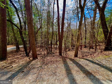 Photo of 525 Camber Court, Ellijay, GA 30540 (MLS # 10725444)