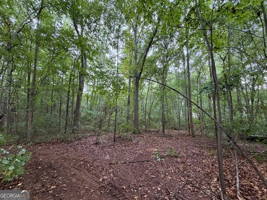 CANEY HEAD RD, ROOPVILLE, GA 30170 - Image f1f76d7d0b314fee8614a0856e79c088/1996324019