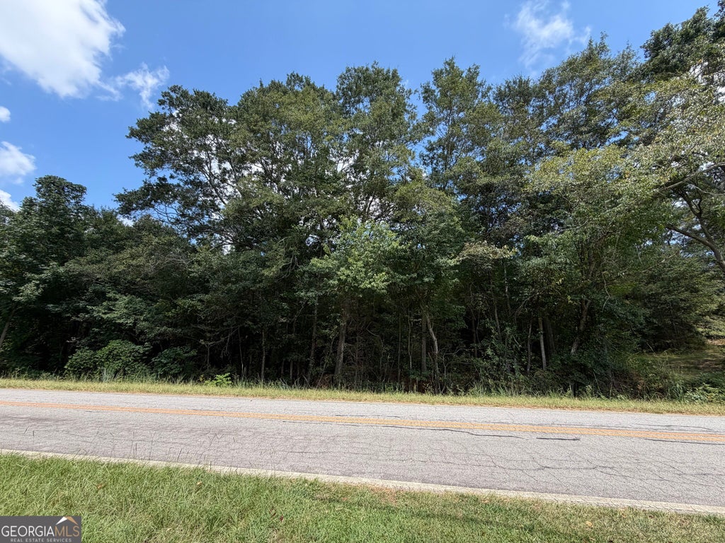 Photo of 0 Caney Head Road, Roopville, GA 30170 (MLS # 10835859)