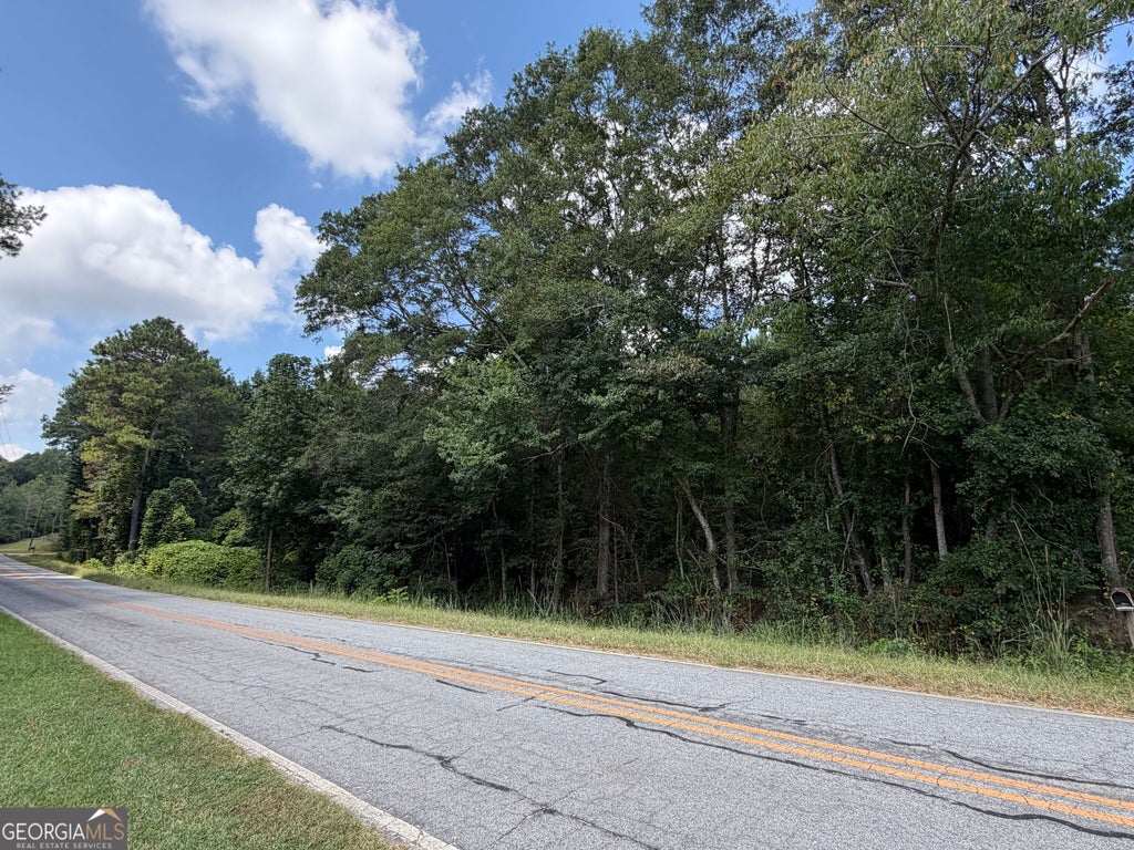 Photo of 0 Caney Head Road, Roopville, GA 30170 (MLS # 10835859)