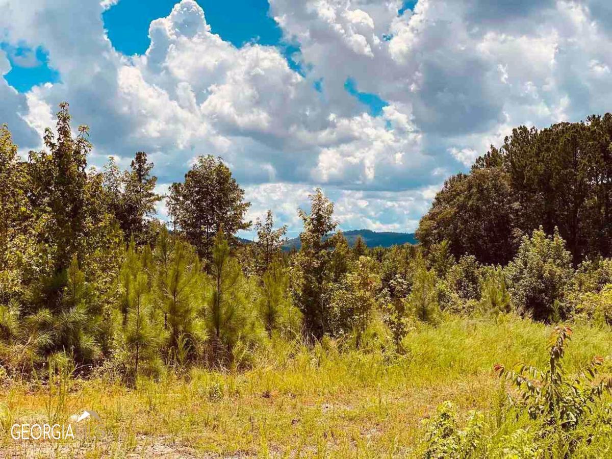 **DON'T MISS OUT** Lot 4 on beautiful 30.407 Acres located less than 5 miles from downtown Woodbury, GA. Nice Hardwoods and Roads throughout! Perfect place for a future homesite and/or hunting property! Priced right and will go fast!! 3 other lot/parcels available. Can be sold as a package. Owner financing possible.
