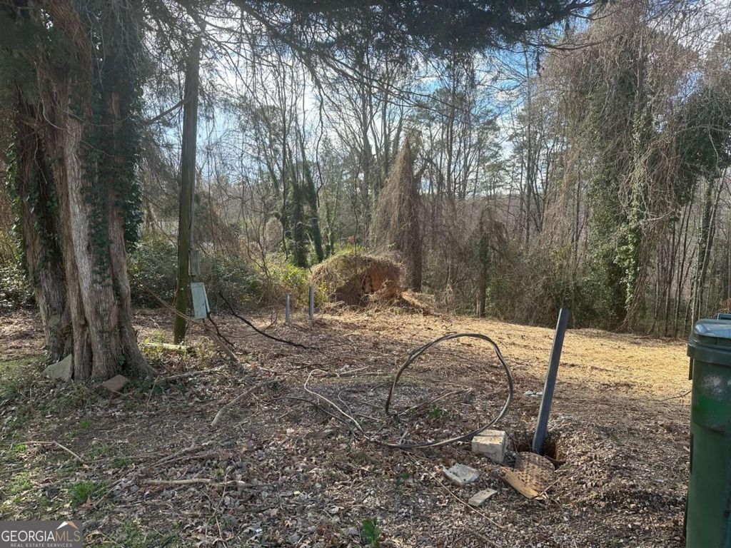 Photo of 550 Baldwin Falls Road, Baldwin, GA 30511 (MLS # 10675289)