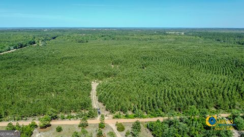 0 Montgomery RD Mauk GA 31058