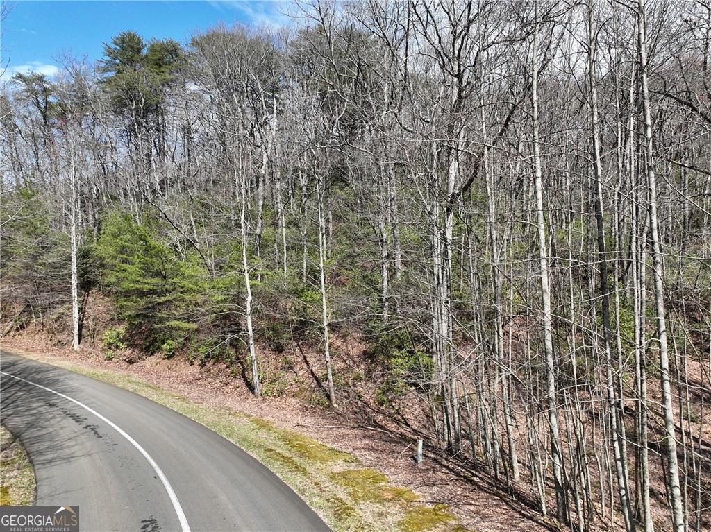 Private 3 Acre Mountain Lot in Luxury Gated Community. This beautiful upsloping lot has at least 2 wonderful flat to gentle building sites. Seasonal close mountain views. The right side of this lot potentially allows for a nice navigable driveway rounding the mountain to a flat spot near the front of the property. Or continue the driveway up the mountain to another flat area where you feel like you are among the treetops with seasonal mountain views. Additional adjacent lots are available for sale for even more privacy and elbow room including year-round natural springs. Okay to buy now and build later. Electric, phone, cable, and high speed internet at road. Check out the topo map in photos. Close to orchards, wineries, and hiking. Approx 20-25 minutes to Jasper or Ellijay. GATED, HOA, 2000 min, no rentals. all buyers must be with an agent per HOA. Terrain parcel line photos are an approximation only.