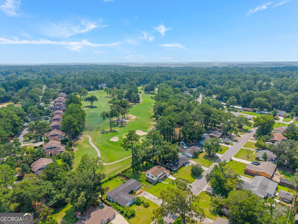 Photo of 417 Willow Road, Savannah, GA 31419 (MLS # 10815673)
