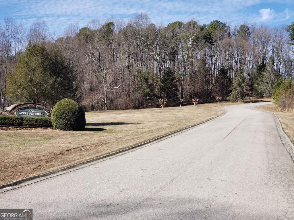 Photo of 0 Planters Pointe Drive, Banks, GA 30510 (MLS # 10722940)