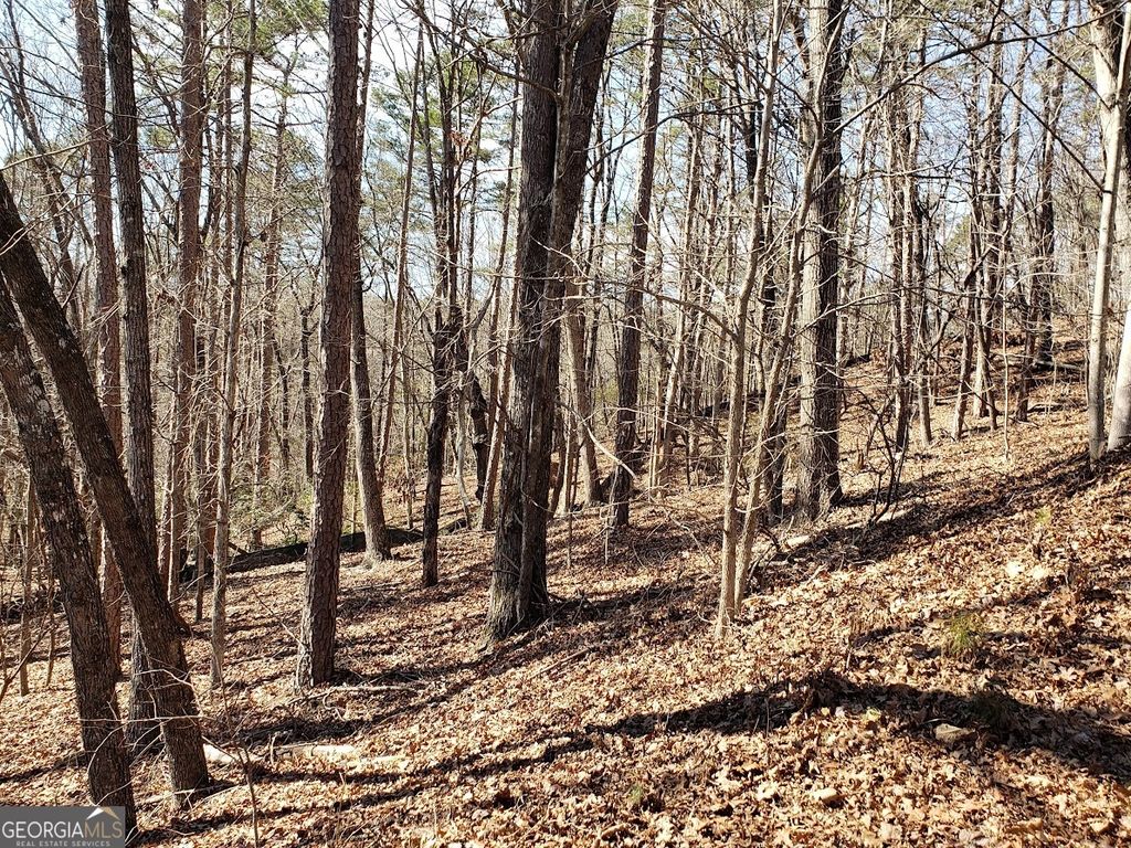 Photo of 0 Planters Pointe Drive, Banks, GA 30510 (MLS # 10722940)