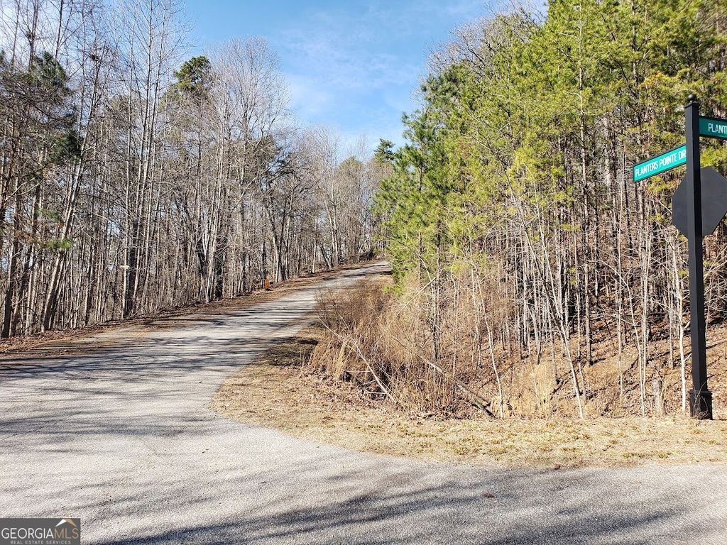 Photo of 0 Planters Pointe Drive, Banks, GA 30510 (MLS # 10722940)