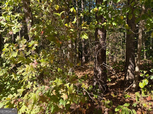 0 DORSETT SHOALS ROAD ROAD, DOUGLASVILLE, GA 30135 - Image f255e50e7a8bee191b7a2cf8e80cc283/1850470282