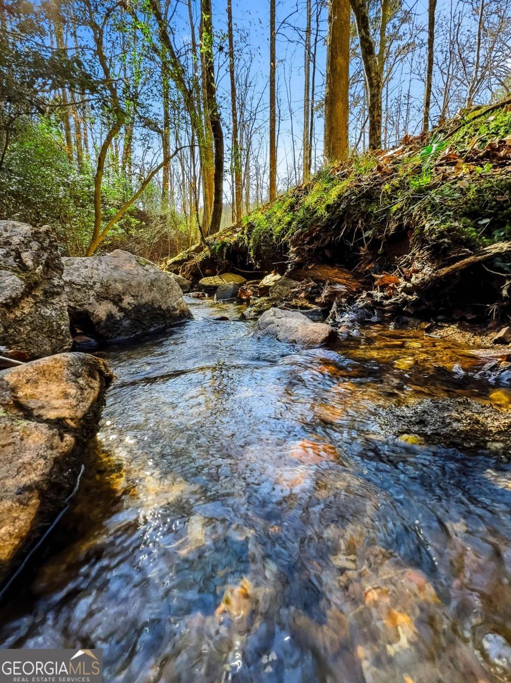 Photo of 0 Captain McDonald Rd, Dahlonega, GA 30533 (MLS # 10674525)