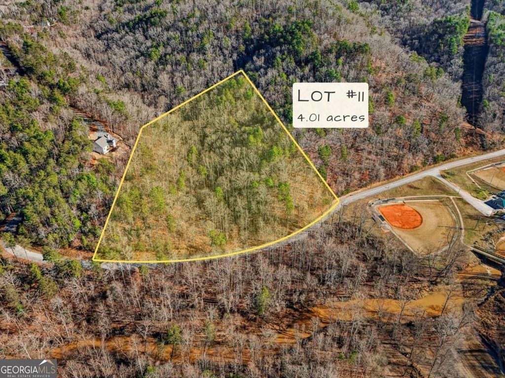 Photo of 0 Captain McDonald Rd, Dahlonega, GA 30533 (MLS # 10674525)