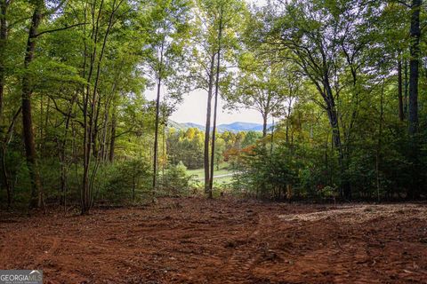 0 Cottonwood LN Blue Ridge GA 30513