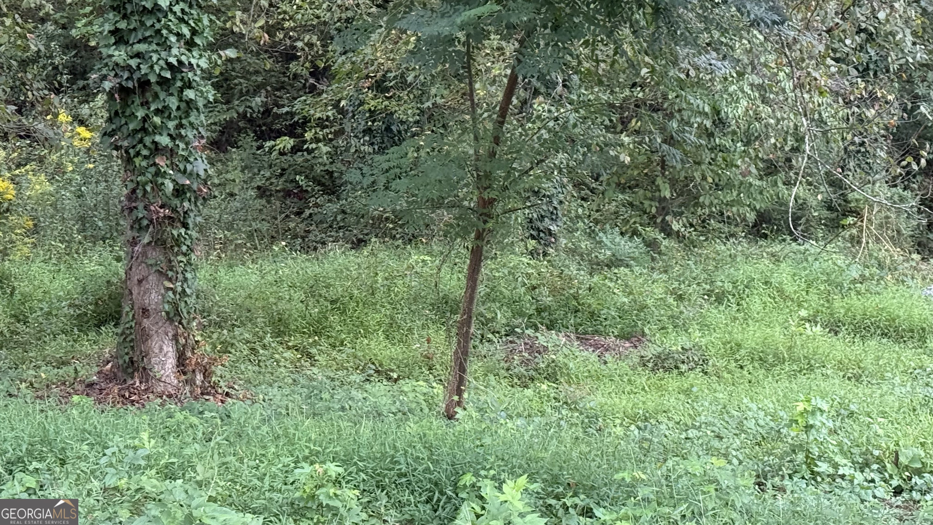 5165 Thompson Mill RD