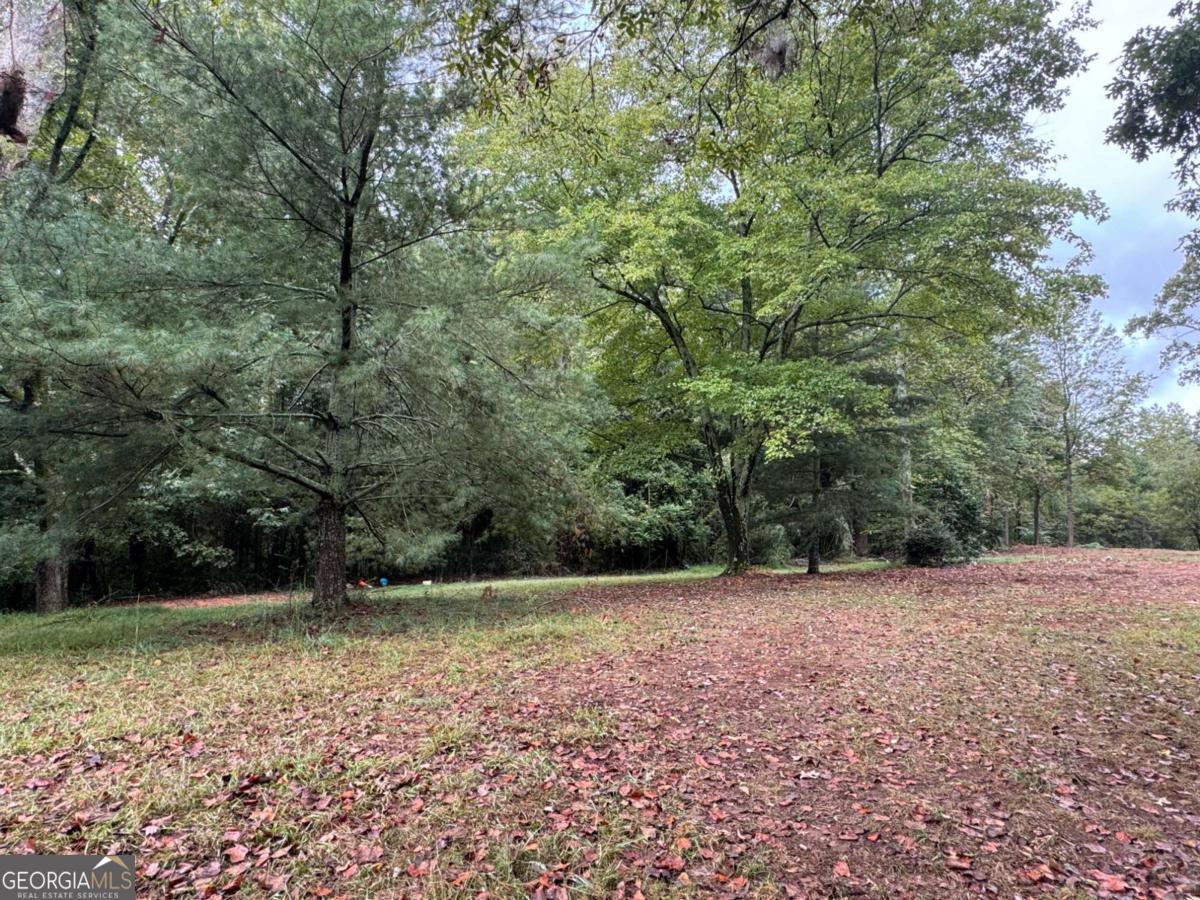 5915 BURRUSS MILL RD TRACT 1