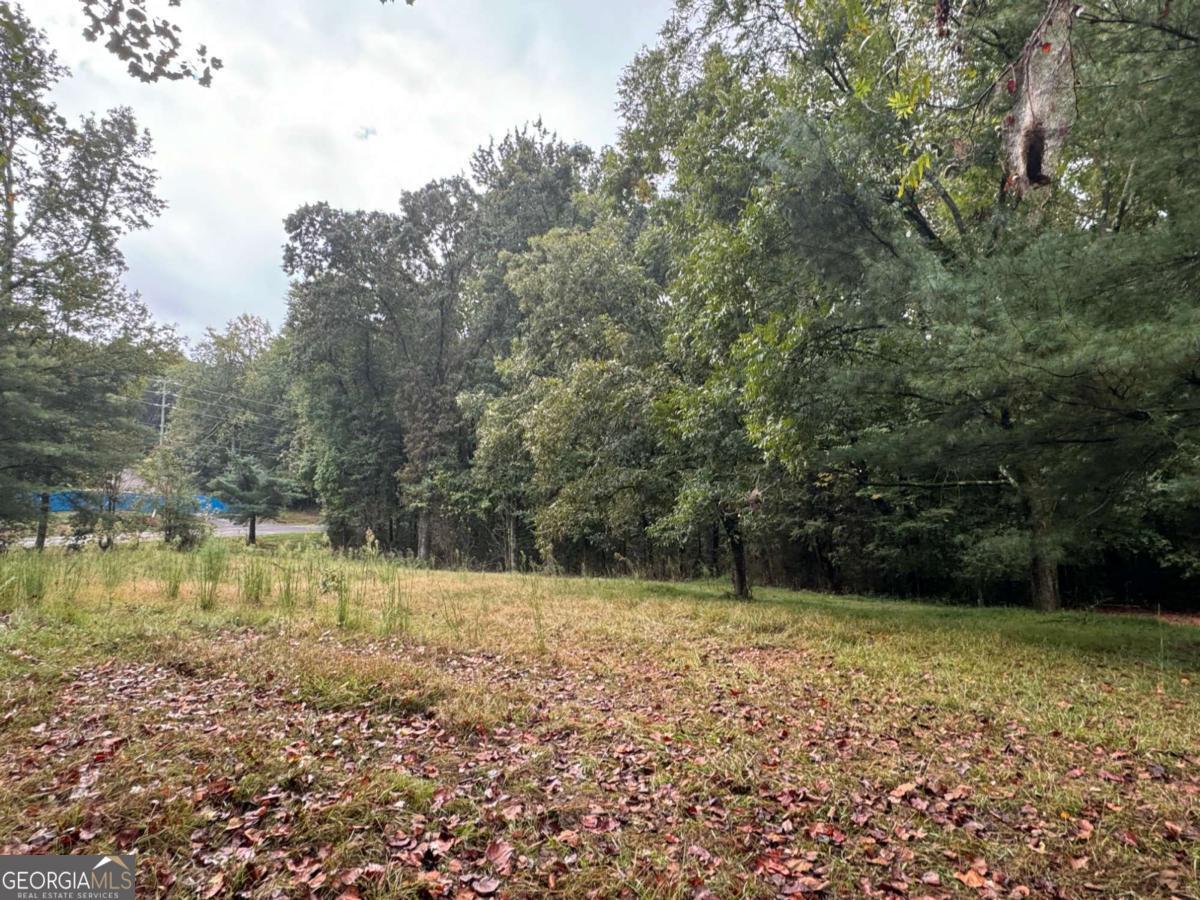 5915 BURRUSS MILL RD TRACT 1