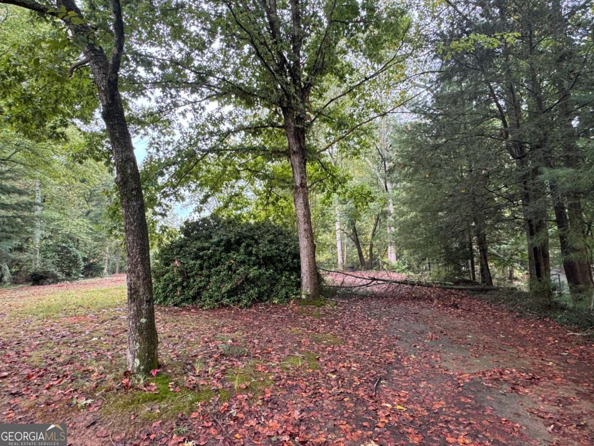 5915 BURRUSS MILL RD TRACT 1