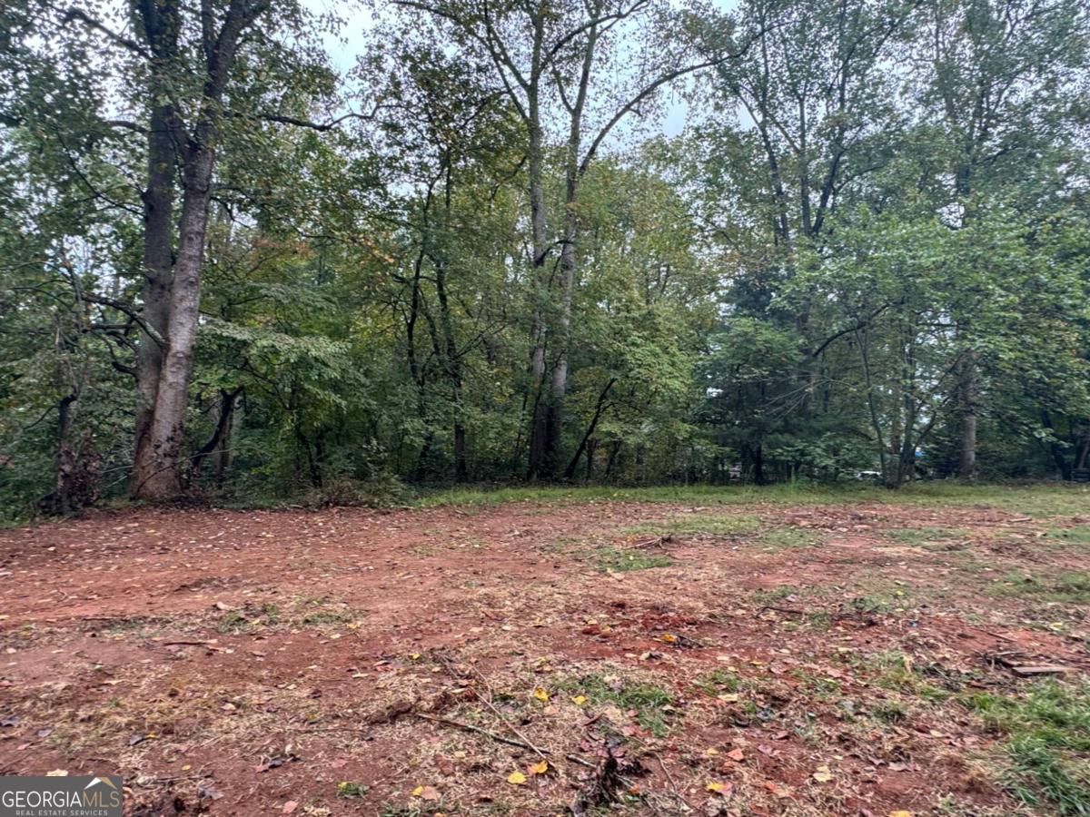 5915 BURRUSS MILL RD TRACT 1