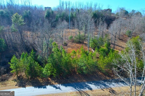 Photo of 144 Katherine Road, Blairsville, GA 30512 (MLS # 10870398)