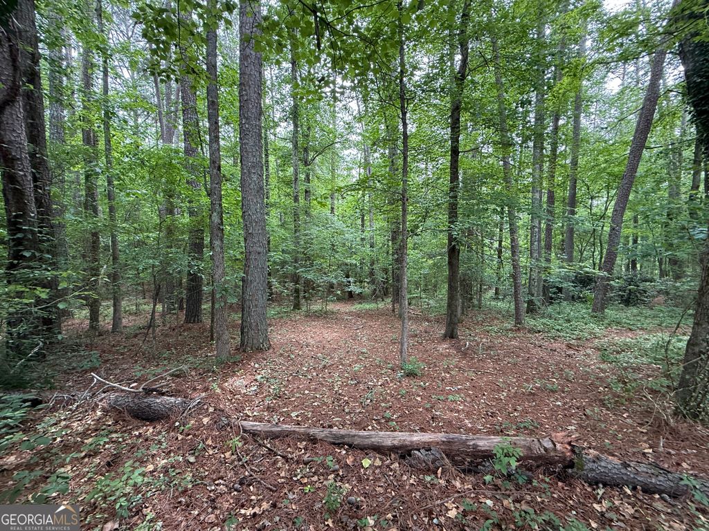 Photo of 0 Bollen Road, Rome, GA 30165 (MLS # 10761300)